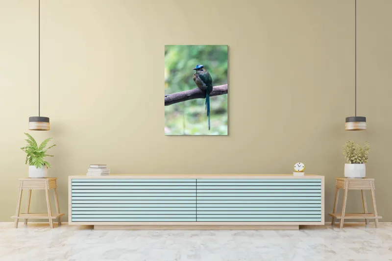 Tablou Canvas, "Pasărea cu creastă albastră pe creangă", Pasăre, Ramură, Penaj, Colorat, Coada, Lungă, Verde, Natură, Pădure, Exotism, 70 x 100 cm – poza 5