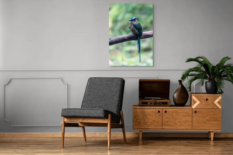 Tablou Canvas, "Pasărea cu creastă albastră pe creangă", Pasăre, Ramură, Penaj, Colorat, Coada, Lungă, Verde, Natură, Pădure, Exotism, 70 x 100 cm – poza 6