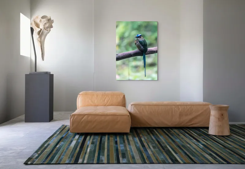 Tablou Canvas, "Pasărea cu creastă albastră pe creangă", Pasăre, Ramură, Penaj, Colorat, Coada, Lungă, Verde, Natură, Pădure, Exotism, 70 x 100 cm – poza 7