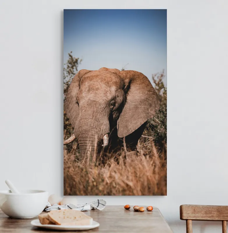 Tablou Canvas, "Elefantul în savana africană", Elefant, Natură, Vegetație, Tranquilitate, Măreție, Savană, Urechi, Trompă, Colți, Peisaj., 50 x 90 cm – poza 3