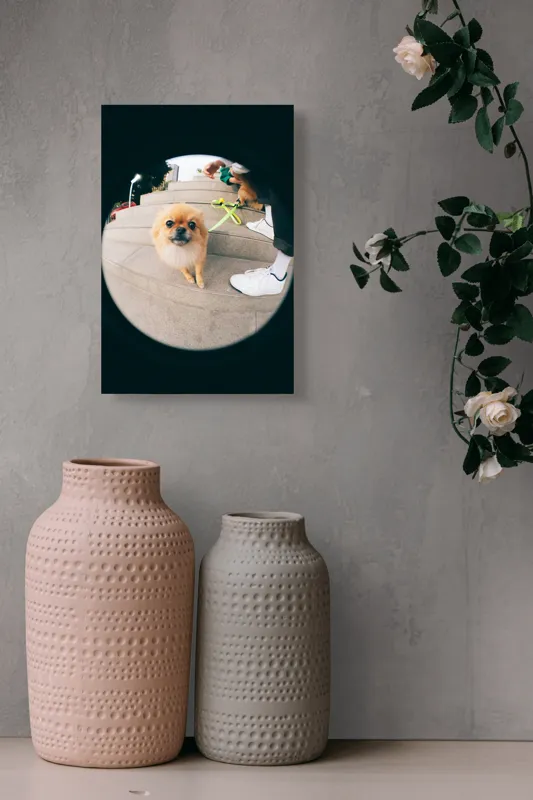 Tablou Canvas Pomeranian pe trepte gălăgioase, 26 x 39 cm – poza 6