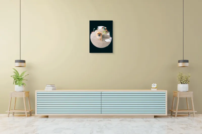 Tablou Canvas Pomeranian pe trepte gălăgioase, 50 x 70 cm – poza 6