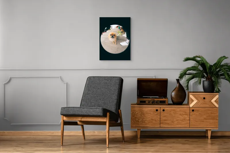 Tablou Canvas Pomeranian pe trepte gălăgioase, 50 x 70 cm – poza 8