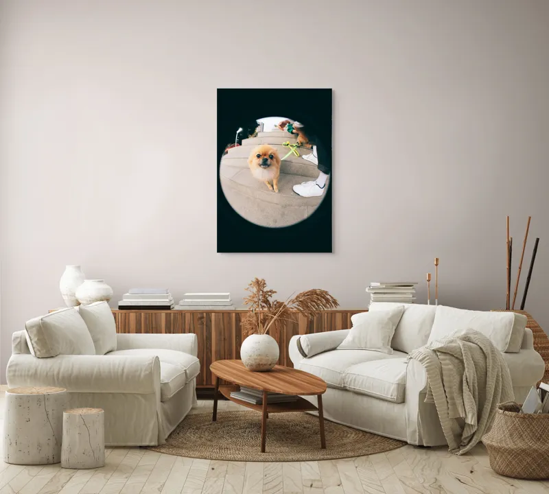 Tablou Canvas Pomeranian pe trepte gălăgioase, 70 x 100 cm – poza 4