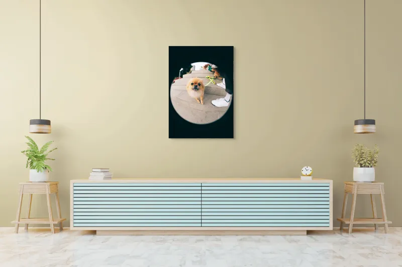 Tablou Canvas Pomeranian pe trepte gălăgioase, 70 x 100 cm – poza 5