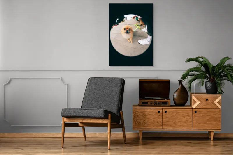 Tablou Canvas Pomeranian pe trepte gălăgioase, 70 x 100 cm – poza 6