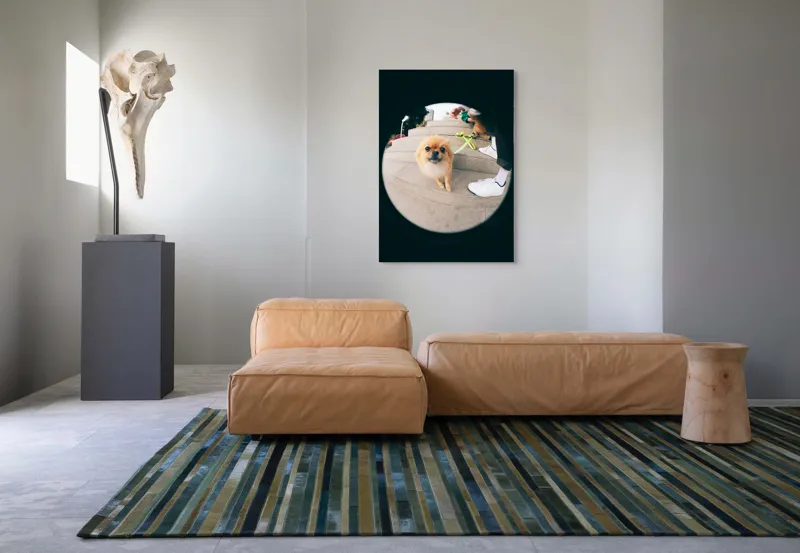 Tablou Canvas Pomeranian pe trepte gălăgioase, 70 x 100 cm – poza 7