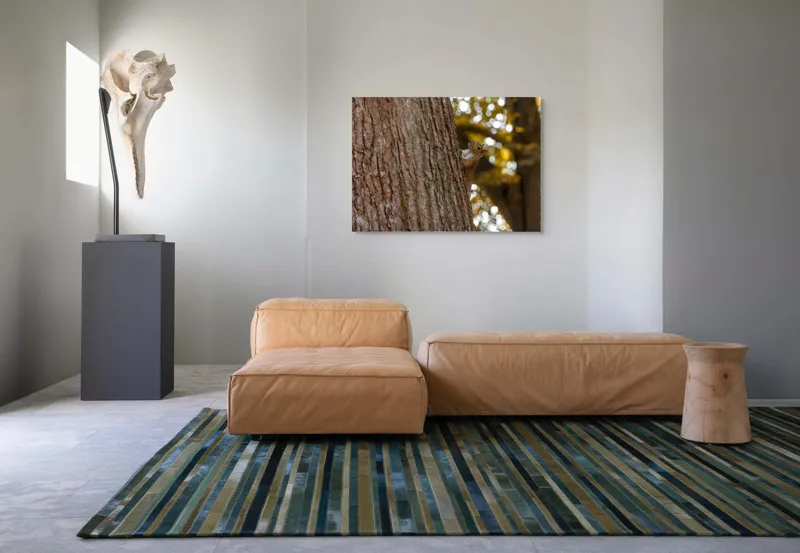Tablou Canvas Veveriță pe Copac, Natură și Frunze de Toamnă Maro, 100 x 70 cm – poza 7