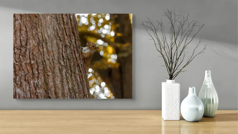 Tablou Canvas Veveriță pe Copac, Natură și Frunze de Toamnă Maro, 70 x 50 cm – poza 3