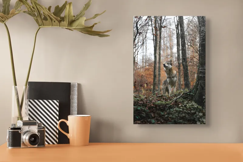Tablou Canvas Lup în Pădure Tomnatică - Artă Natură Solitară, 26 x 39 cm – poza 3