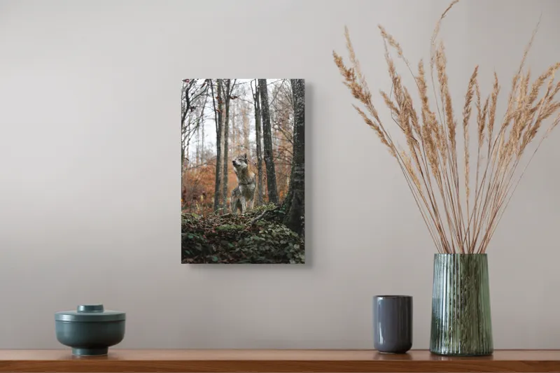 Tablou Canvas Lup în Pădure Tomnatică - Artă Natură Solitară, 26 x 39 cm – poza 5