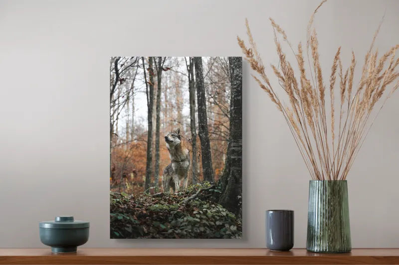 Tablou Canvas Lup în Pădure Tomnatică - Artă Natură Solitară, 39 x 54 cm – poza 3