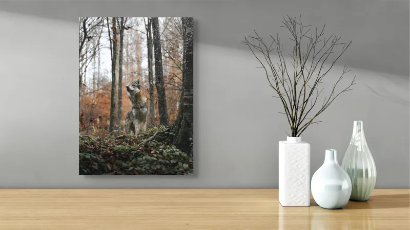 Tablou Canvas Lup în Pădure Tomnatică - Artă Natură Solitară, 39 x 54 cm – poza 4
