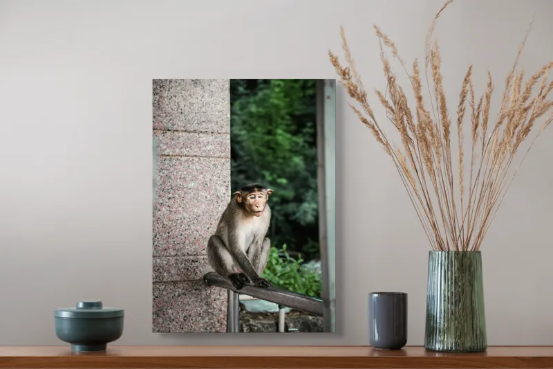 Tablou Canvas Maimuță în Natură Urbană Relaxare Concentrare, 39 x 54 cm – poza 3