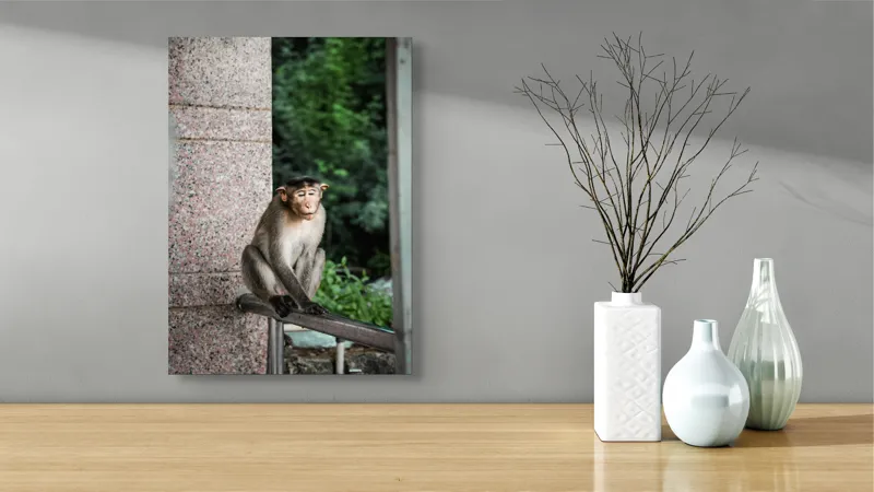 Tablou Canvas Maimuță în Natură Urbană Relaxare Concentrare, 39 x 54 cm – poza 4