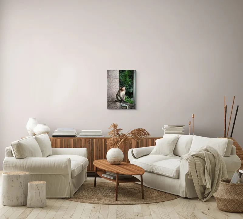 Tablou Canvas Maimuță în Natură Urbană Relaxare Concentrare, 39 x 54 cm – poza 5