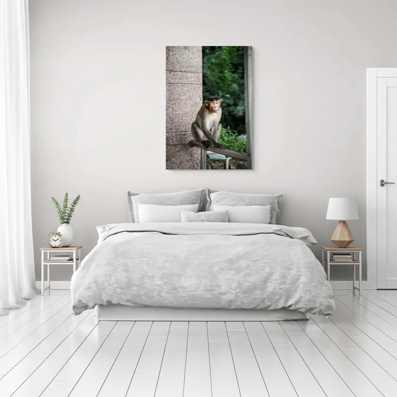 Tablou Canvas Maimuță în Natură Urbană Relaxare Concentrare, 70 x 100 cm – poza 3
