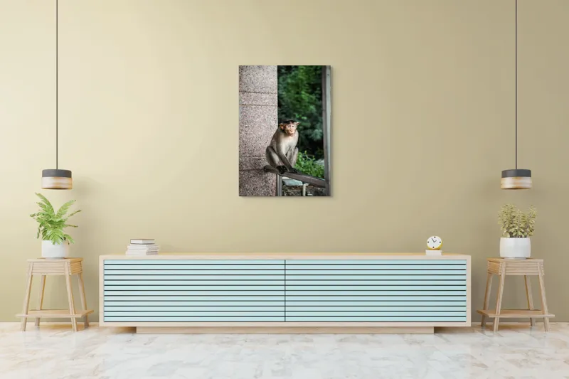 Tablou Canvas Maimuță în Natură Urbană Relaxare Concentrare, 70 x 100 cm – poza 5