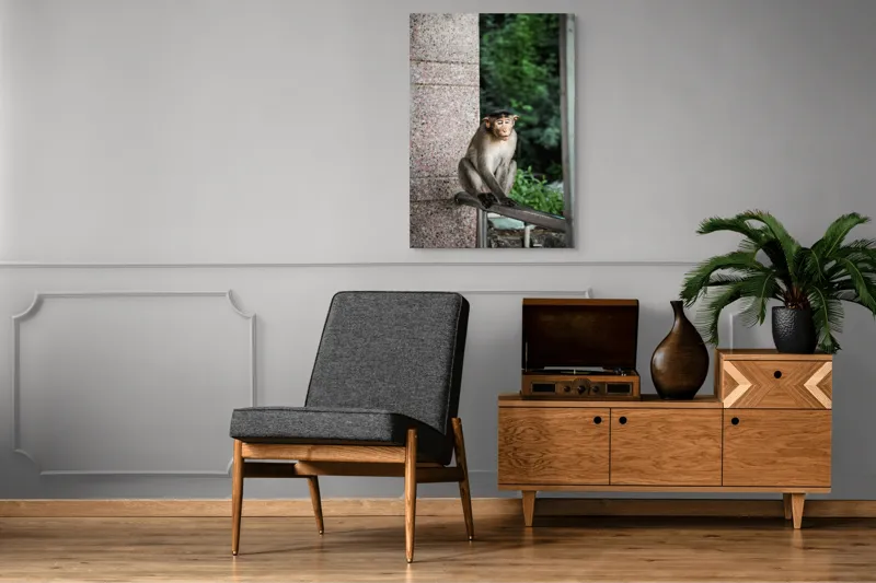 Tablou Canvas Maimuță în Natură Urbană Relaxare Concentrare, 70 x 100 cm – poza 6