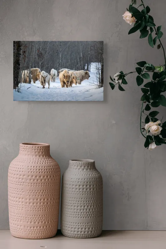 Tablou Canvas Bizonii albi pe zăpadă în pădure, 39 x 26 cm – poza 4