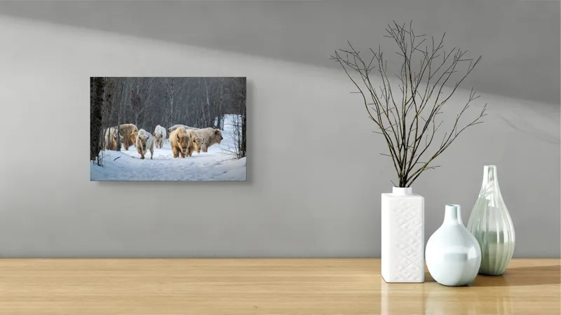 Tablou Canvas Bizonii albi pe zăpadă în pădure, 39 x 26 cm – poza 8