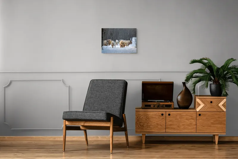Tablou Canvas Bizonii albi pe zăpadă în pădure, 54 x 39 cm – poza 7