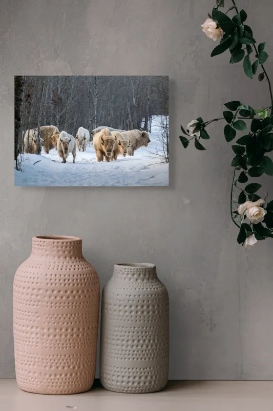 Tablou Canvas Bizonii albi pe zăpadă în pădure, 54 x 39 cm – poza 8