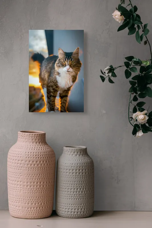Tablou Canvas Pisică în lumina apusului blând, artă naturală, 26 x 39 cm – poza 6
