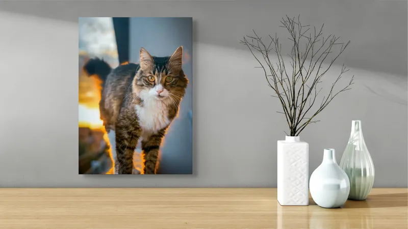 Tablou Canvas Pisică în lumina apusului blând, artă naturală, 39 x 54 cm – poza 4
