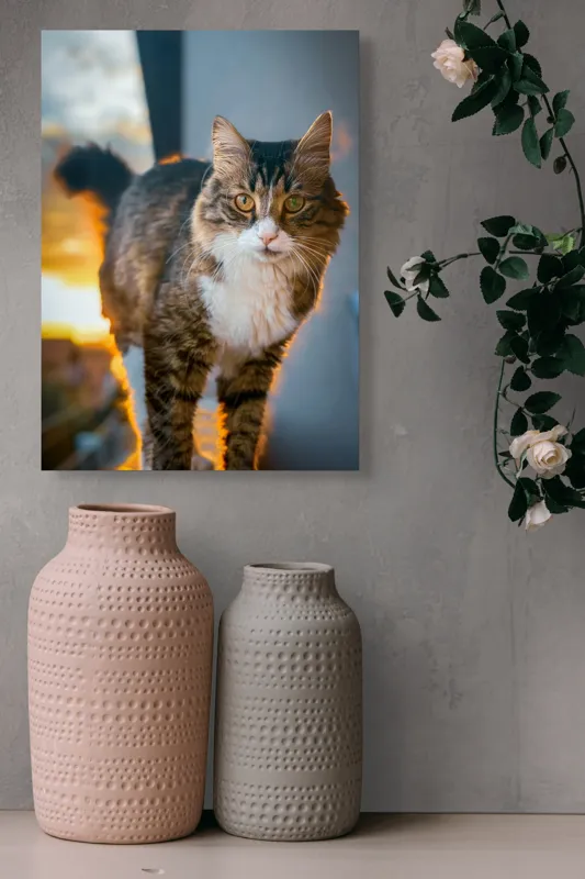 Tablou Canvas Pisică în lumina apusului blând, artă naturală, 39 x 54 cm – poza 6