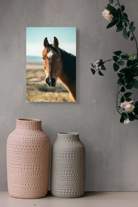 Tablou Canvas Cal în bătaia vântului de toamnă pe peisaj natură, 26 x 39 cm – poza 6