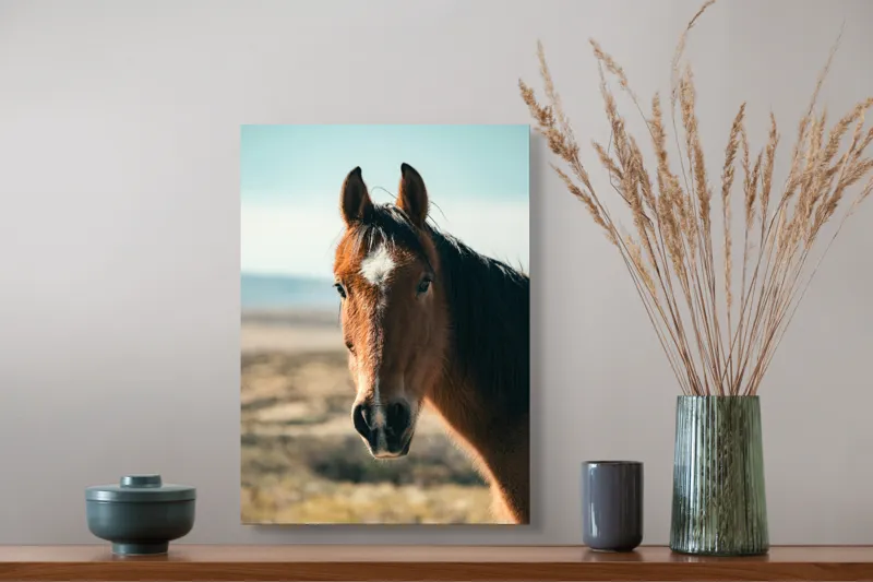 Tablou Canvas Cal în bătaia vântului de toamnă pe peisaj natură, 39 x 54 cm – poza 3