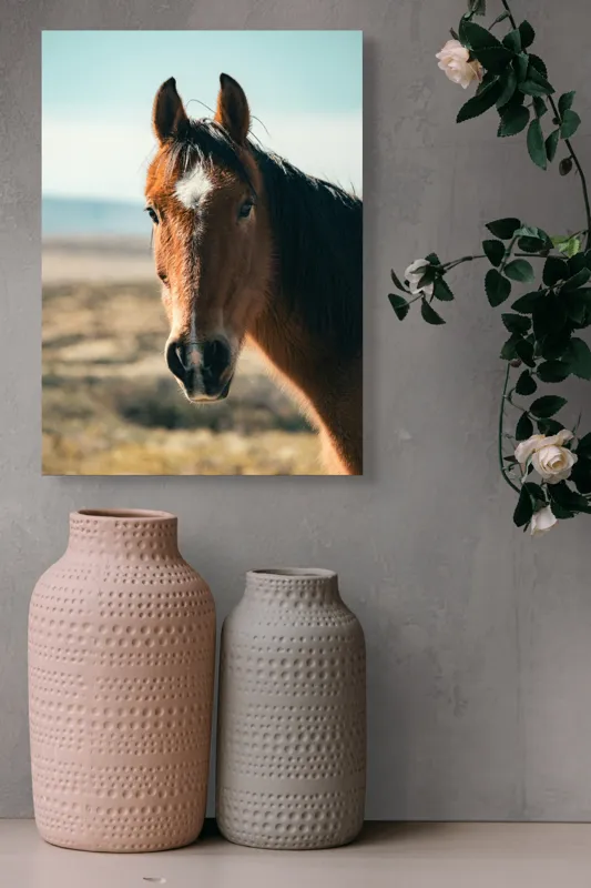 Tablou Canvas Cal în bătaia vântului de toamnă pe peisaj natură, 39 x 54 cm – poza 6