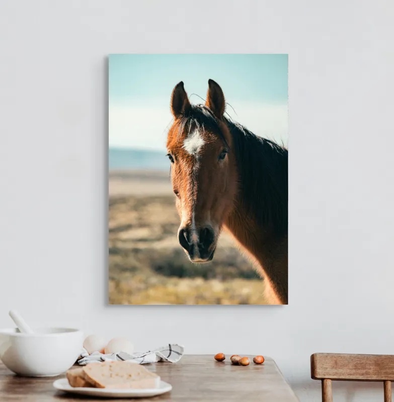 Tablou Canvas Cal în bătaia vântului de toamnă pe peisaj natură, 50 x 70 cm – poza 3
