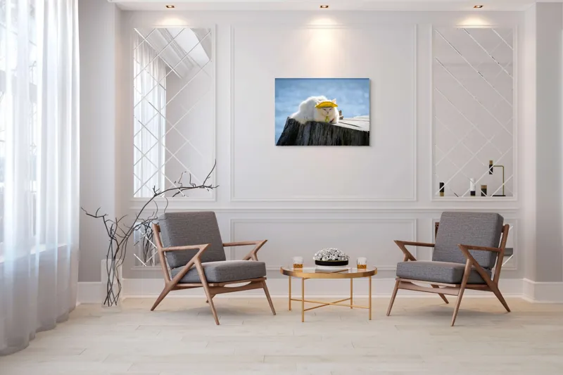 Tablou Canvas Pisică pe Malul Mării - Relaxare și Odihnă Naturală, 100 x 70 cm – poza 5