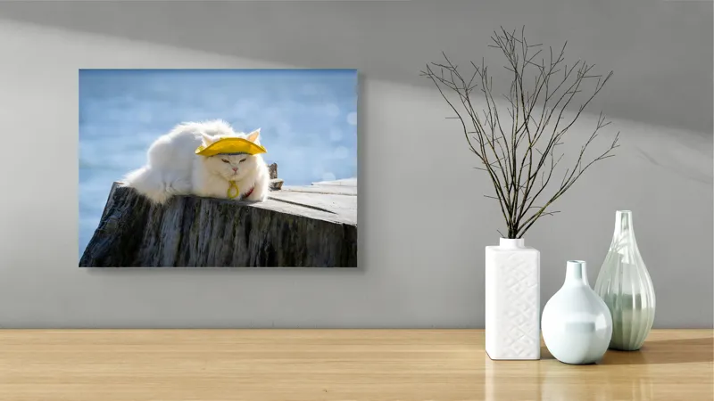Tablou Canvas Pisică pe Malul Mării - Relaxare și Odihnă Naturală, 54 x 39 cm – poza 3