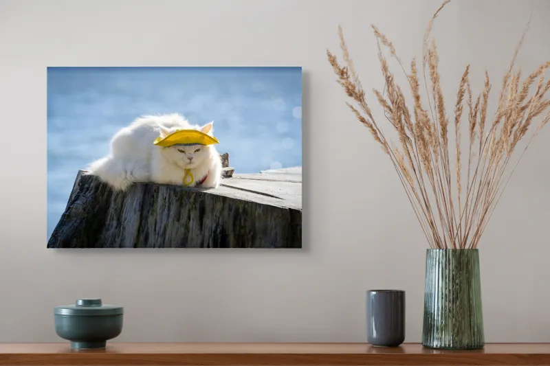 Tablou Canvas Pisică pe Malul Mării - Relaxare și Odihnă Naturală, 54 x 39 cm – poza 4