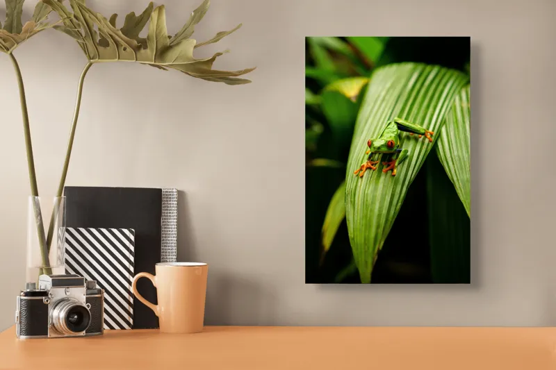 Tablou Canvas Broasca pe frunză tropicală verde, Artă Natură, 26 x 39 cm – poza 3