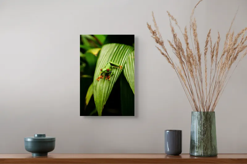 Tablou Canvas Broasca pe frunză tropicală verde, Artă Natură, 26 x 39 cm – poza 5