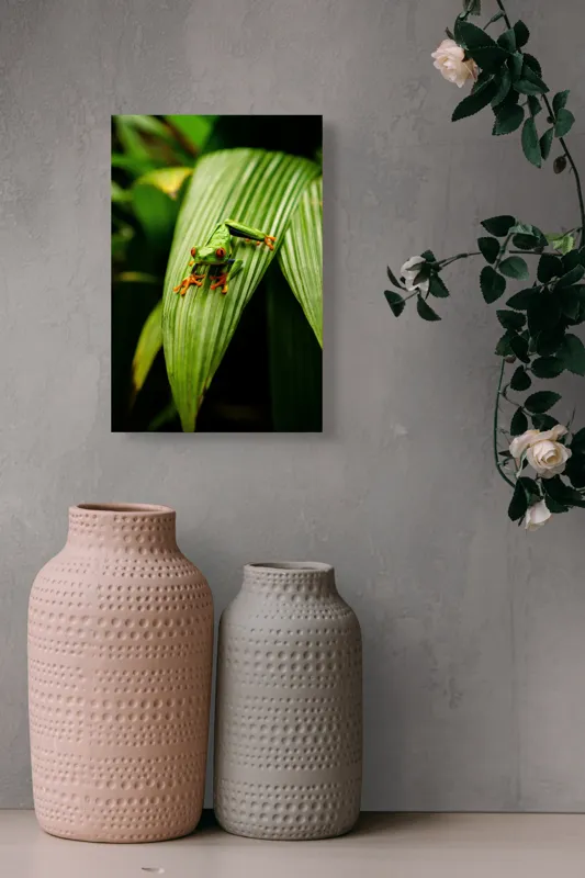 Tablou Canvas Broasca pe frunză tropicală verde, Artă Natură, 26 x 39 cm – poza 6