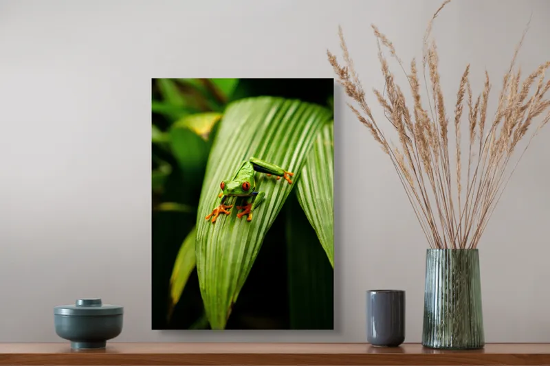 Tablou Canvas Broasca pe frunză tropicală verde, Artă Natură, 39 x 54 cm – poza 3