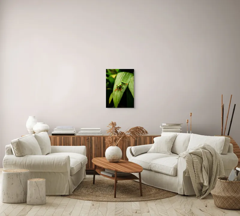 Tablou Canvas Broasca pe frunză tropicală verde, Artă Natură, 39 x 54 cm – poza 5