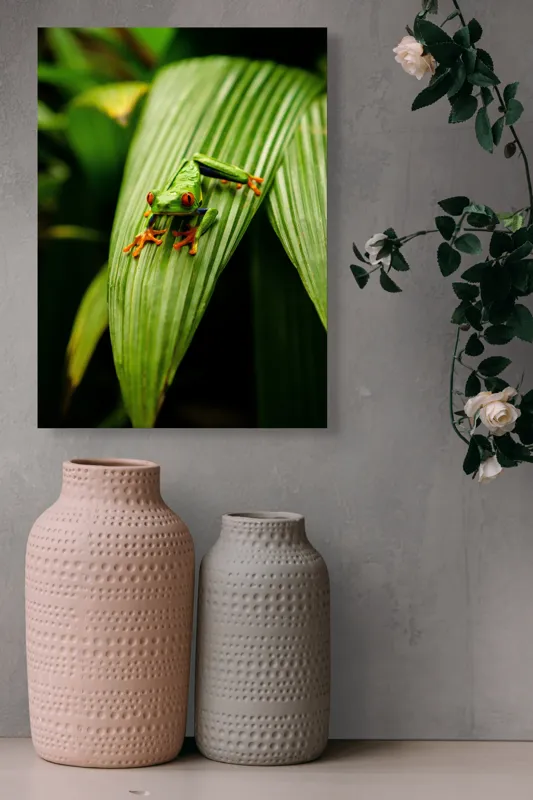 Tablou Canvas Broasca pe frunză tropicală verde, Artă Natură, 39 x 54 cm – poza 6