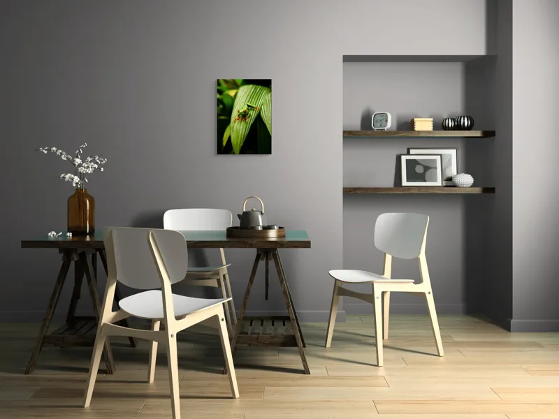 Tablou Canvas Broasca pe frunză tropicală verde, Artă Natură, 39 x 54 cm – poza 7