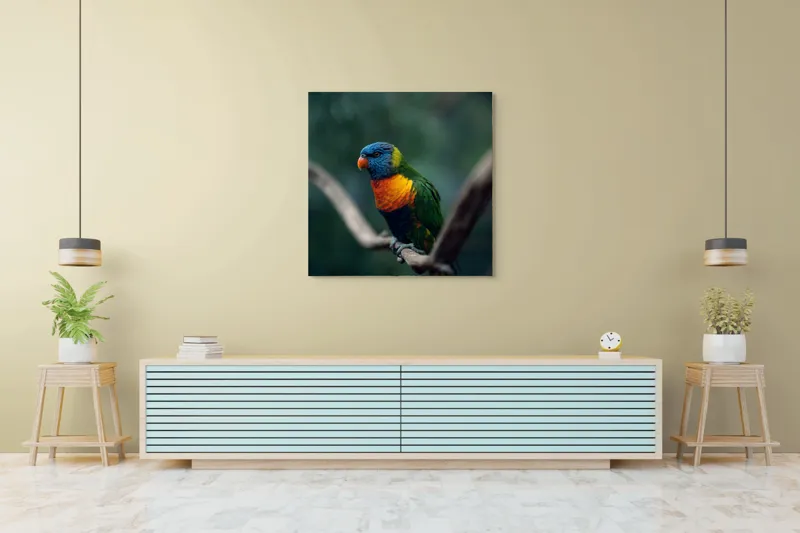 Tablou Canvas, "Papagal viu colorat pe creanga", Pene, Colorat, Pasăre, Ramură, Fundal, Portocaliu, Albastru, Verde, Zvelt, Exotic, 100 x 100 cm – poza 5
