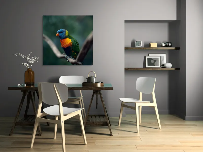 Tablou Canvas, "Papagal viu colorat pe creanga", Pene, Colorat, Pasăre, Ramură, Fundal, Portocaliu, Albastru, Verde, Zvelt, Exotic, 100 x 100 cm – poza 6