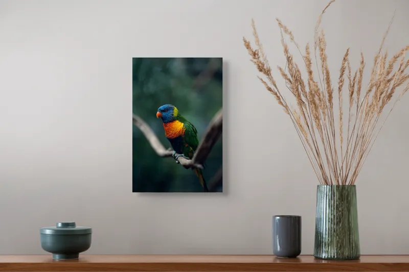 Tablou Canvas, "Papagal viu colorat pe creanga", Pene, Colorat, Pasăre, Ramură, Fundal, Portocaliu, Albastru, Verde, Zvelt, Exotic, 26 x 39 cm – poza 5