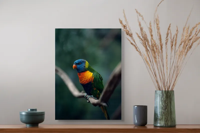 Tablou Canvas, "Papagal viu colorat pe creanga", Pene, Colorat, Pasăre, Ramură, Fundal, Portocaliu, Albastru, Verde, Zvelt, Exotic, 39 x 54 cm – poza 3
