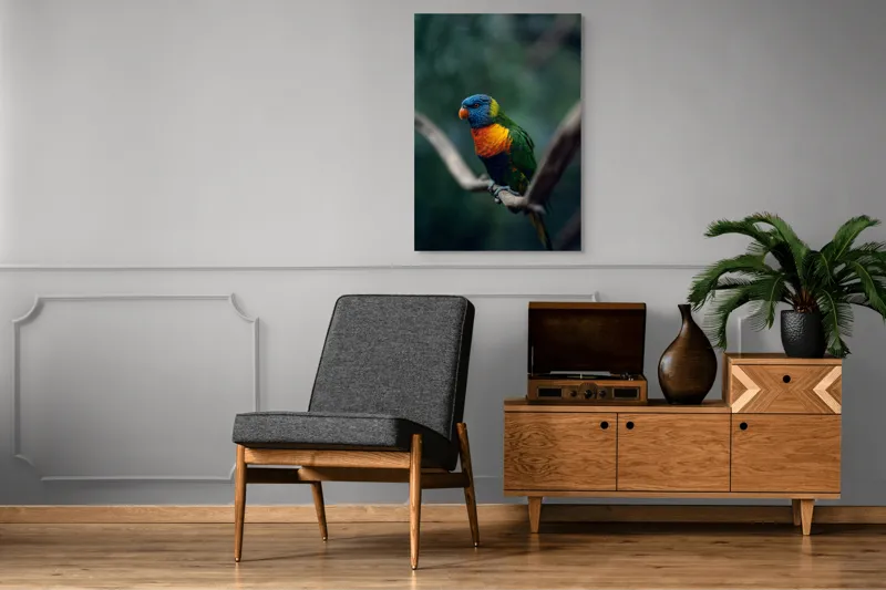 Tablou Canvas, "Papagal viu colorat pe creanga", Pene, Colorat, Pasăre, Ramură, Fundal, Portocaliu, Albastru, Verde, Zvelt, Exotic, 70 x 100 cm – poza 6