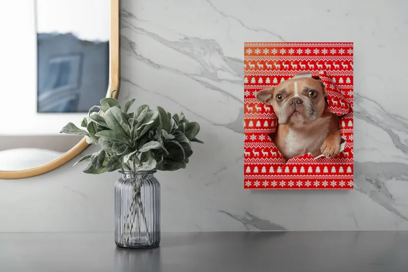 Tablou Canvas Bulldog surpriză de Crăciun, Câine Adorabil, 26 x 39 cm – poza 4